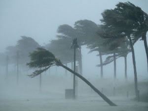 English Documentary on Hurricanes with Transcript and flashcards at LELB Society for listening and reading comprehension