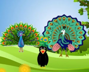 Learn Persian with stories at LELB Society on crow and peacocks