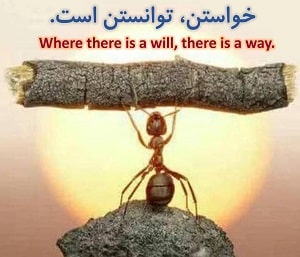 persian-proverb-determination-learn-persian-online-LELB-society