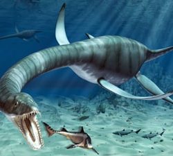 English Documentary on Plesiosaurs with transcript and video to learn English academically