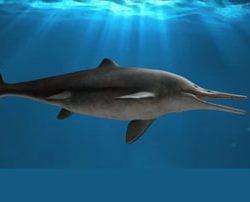 English Documentary on Ichthyosaurs with transcript and video and vocabulary practice for English learners