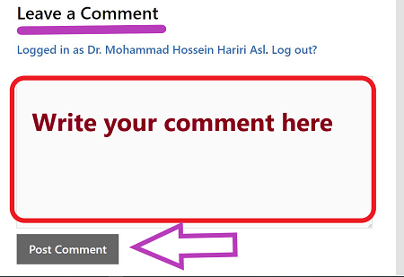 Leave text comments at the bottom of each lesson