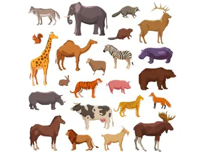 Fauna meaning in real context with images