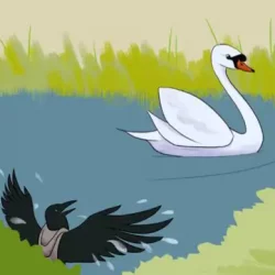 The raven and the swan - best Aesop's fables and tales for English learners