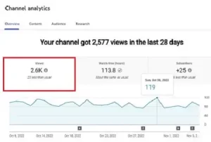 Youtube analytics result for LELB Society