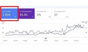 google search console result for LELB Society