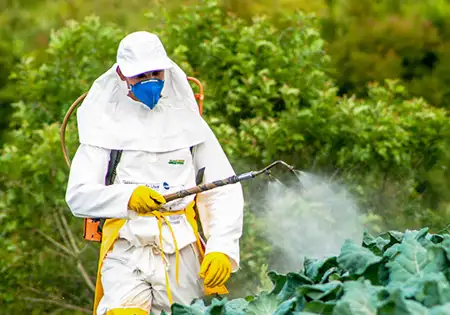 Pesticide definition in context with images visual dictionary