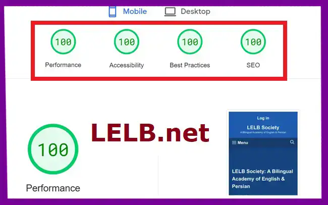 100% WordPress speed optimization calculated by Google PageSpeed Insights for LELB Society on WordPress