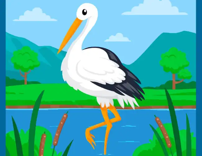 The Fox and the Stork from Aesop's fables for advanced ESL students with video and vocabulary