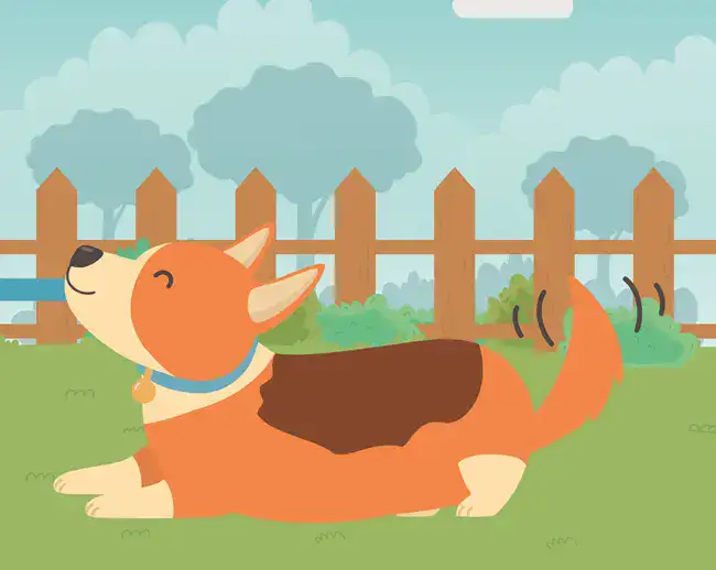 داستان خرگوش و سگ شکاری برای آموزش زبان فارسی به کودکان و نوجوانان به همراه ویدیو و نسخه انگلیسی