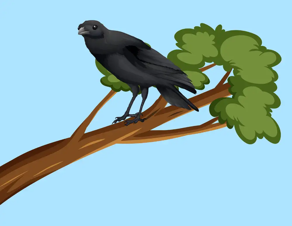 The Jackdaw and the Pigeons by Aesop for ESL Students with a video and vocabulary practice in real context