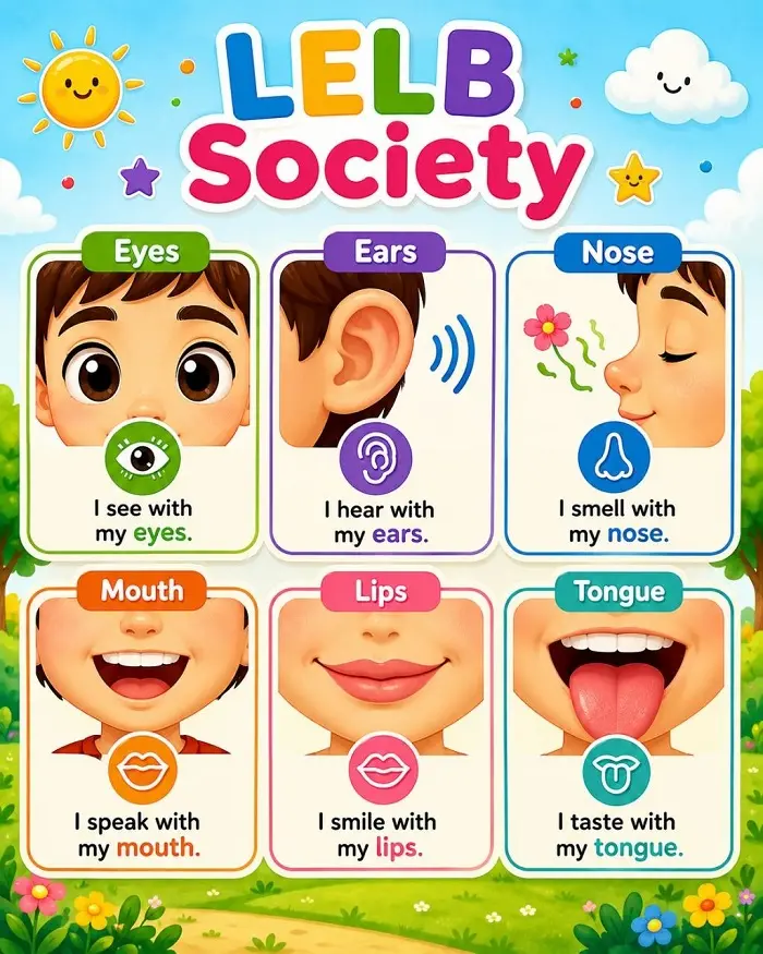 Body Parts and the Five Senses for Kids with Video