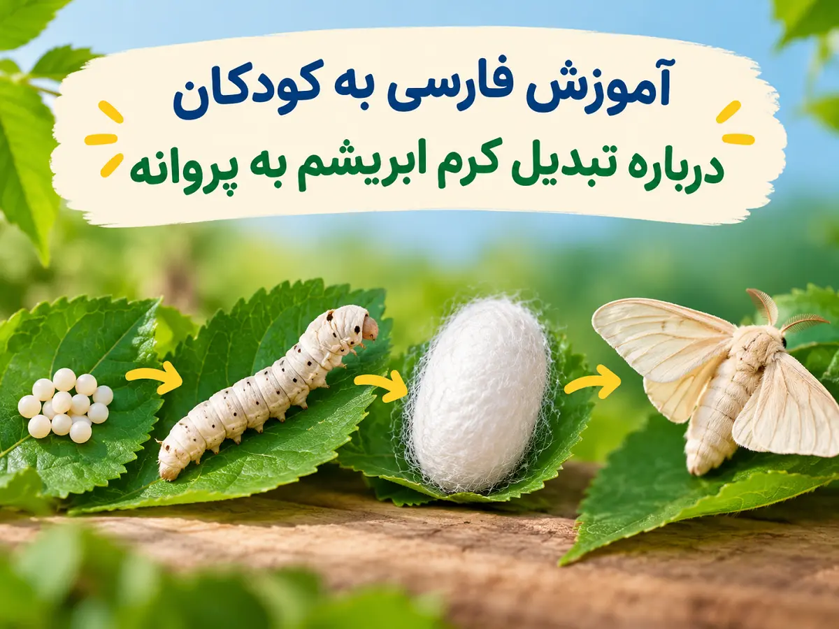 کرم ابریشم چگونه پروانه میشود؟ | آموزش فارسی به کودکان